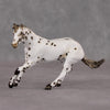 Lyric OOAK Custom Leopard Appaloosa Cutter Chip By Andrea Thomason HS24