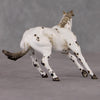 Lyric OOAK Custom Leopard Appaloosa Cutter Chip By Andrea Thomason HS24