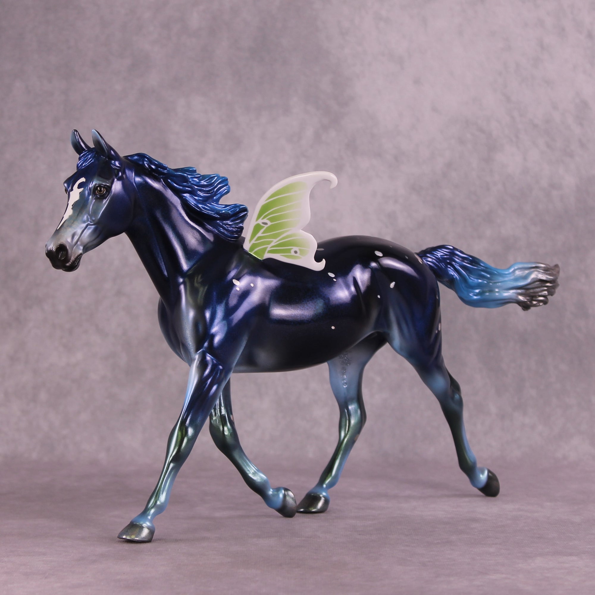 “Titania” Best Offer FCM Palouse by Ellen Robbins Best Offer 6/24/25