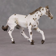 Lyric OOAK Custom Leopard Appaloosa Cutter Chip By Andrea Thomason HS24