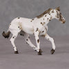 Lyric OOAK Custom Leopard Appaloosa Cutter Chip By Andrea Thomason HS24