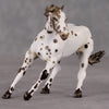 Lyric OOAK Custom Leopard Appaloosa Cutter Chip By Andrea Thomason HS24