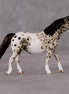 Trinket OOAK Grey Appaloosa Pony Chip By Andrea Thomason HS24