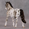 Trinket OOAK Grey Appaloosa Pony Chip By Andrea Thomason HS24