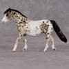 Trinket OOAK Grey Appaloosa Pony Chip By Andrea Thomason HS24