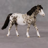 Trinket OOAK Grey Appaloosa Pony Chip By Andrea Thomason HS24