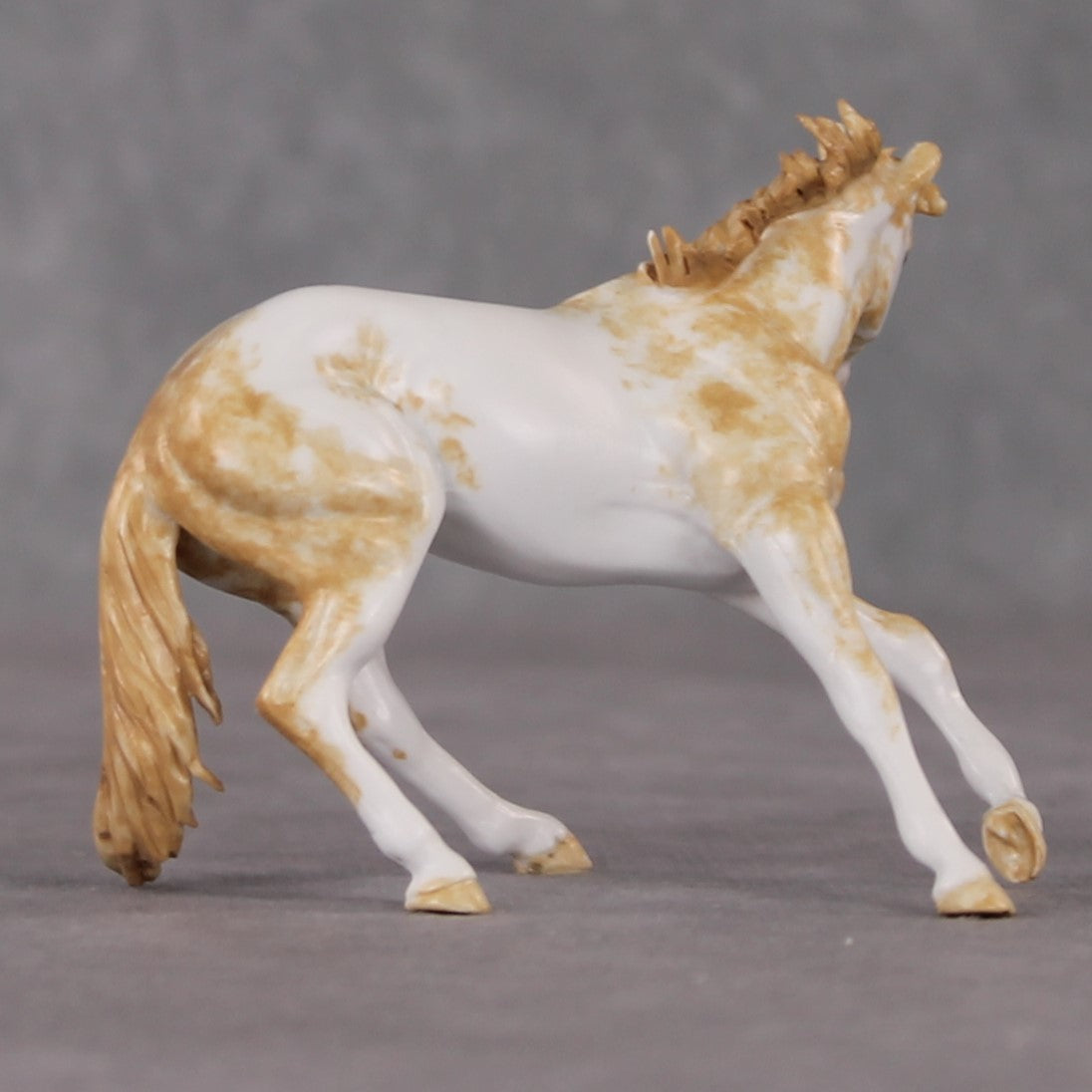 Lace OOAK Light Chestnut Pinto Cutter Chip By Andrea Thomason HS24