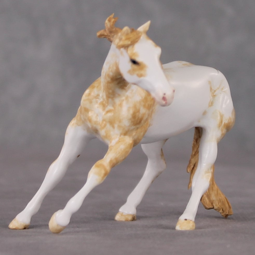 Lace OOAK Light Chestnut Pinto Cutter Chip By Andrea Thomason HS24