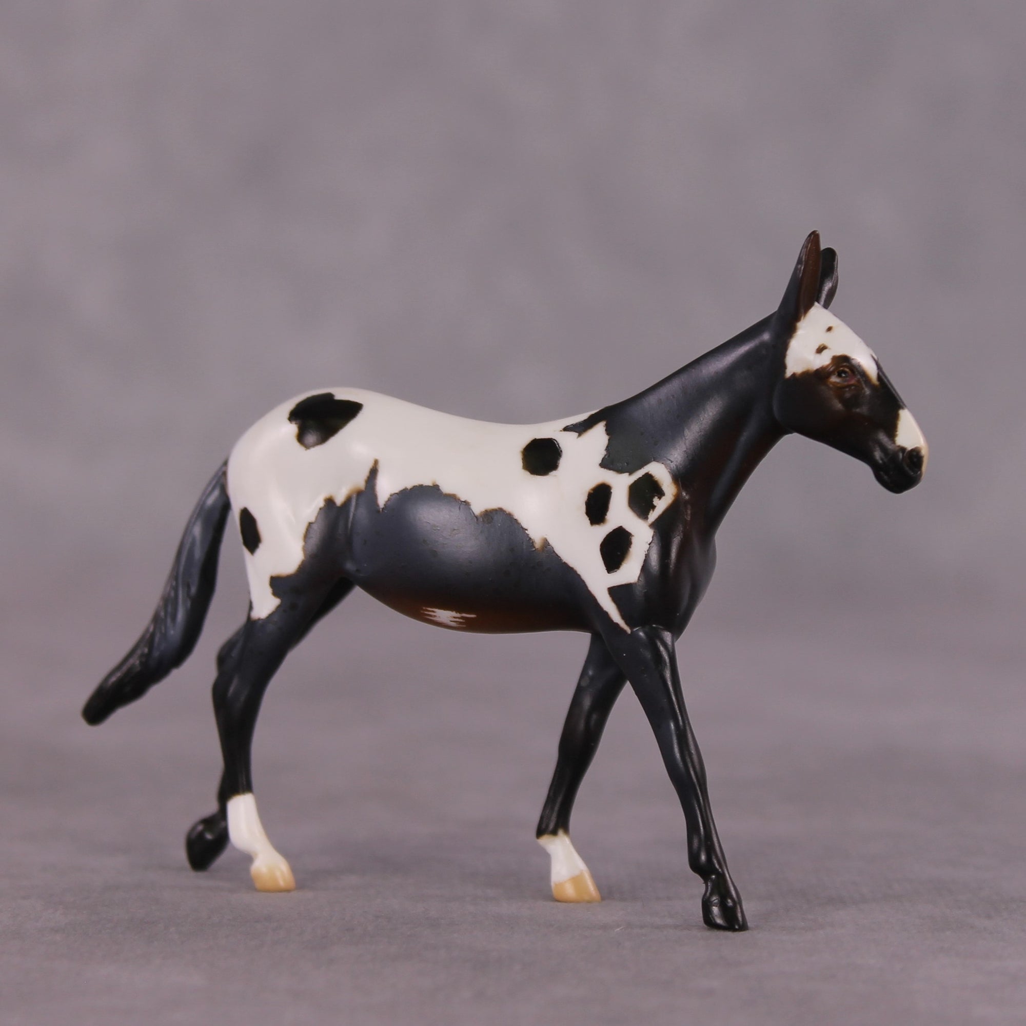 "Chester" OOAK Mule Chip by Anna Rieck SHCF25