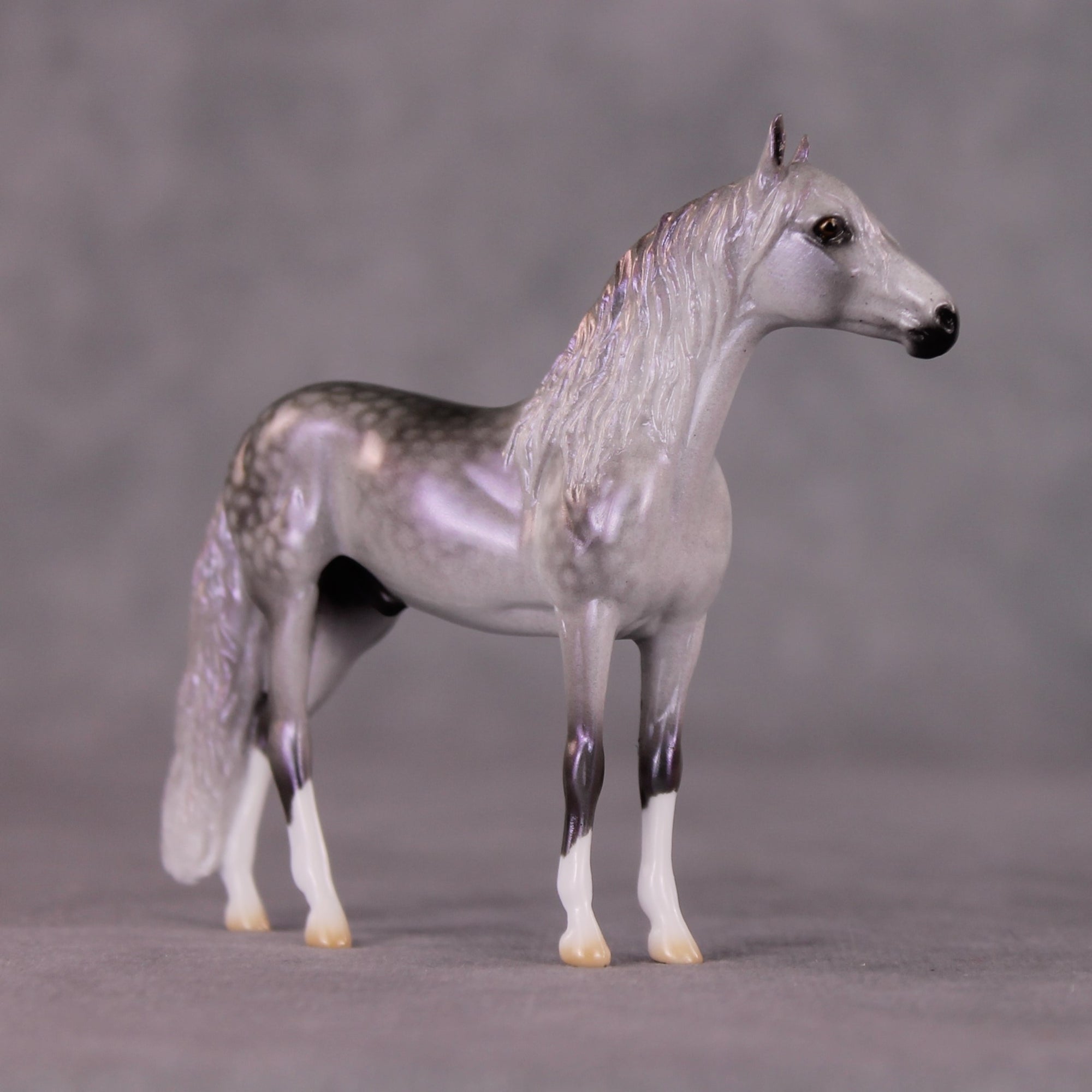 "Malibu" OOAK Andalusian Chip By Ellen Robbins SHCF25