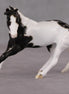 Larmie OOAK Custom Black Pinto Cutter Chip By Andrea Thomason HS24