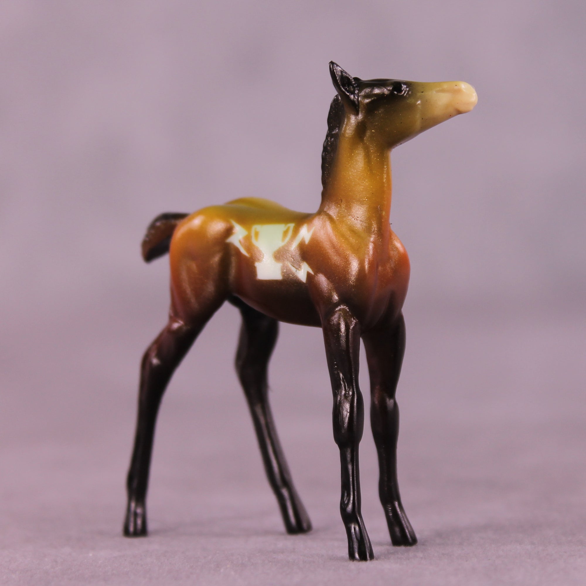 Winner OOAK Chip Foal by Kike (Enrique) Duarte SCD25