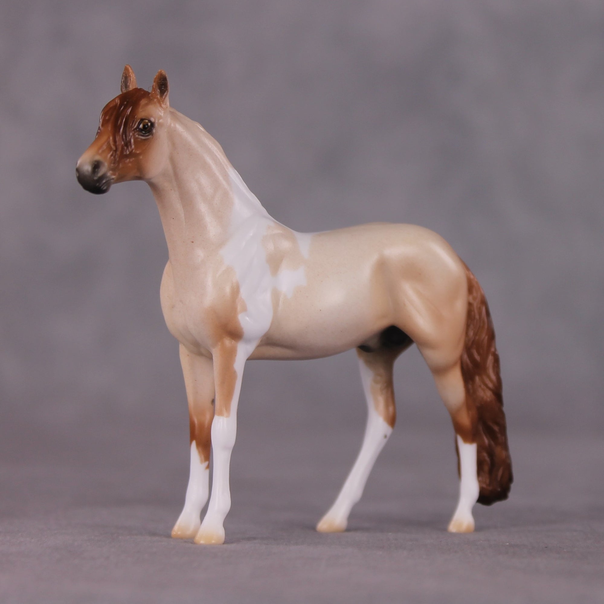 "Seaside Stargazer" OOAK Andalusian Chip By Ellen Robbins SHCF25