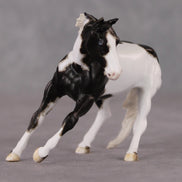 Larmie OOAK Custom Black Pinto Cutter Chip By Andrea Thomason HS24