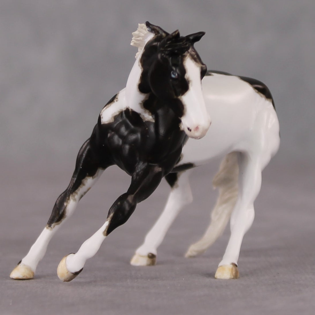 Larmie OOAK Custom Black Pinto Cutter Chip By Andrea Thomason HS24