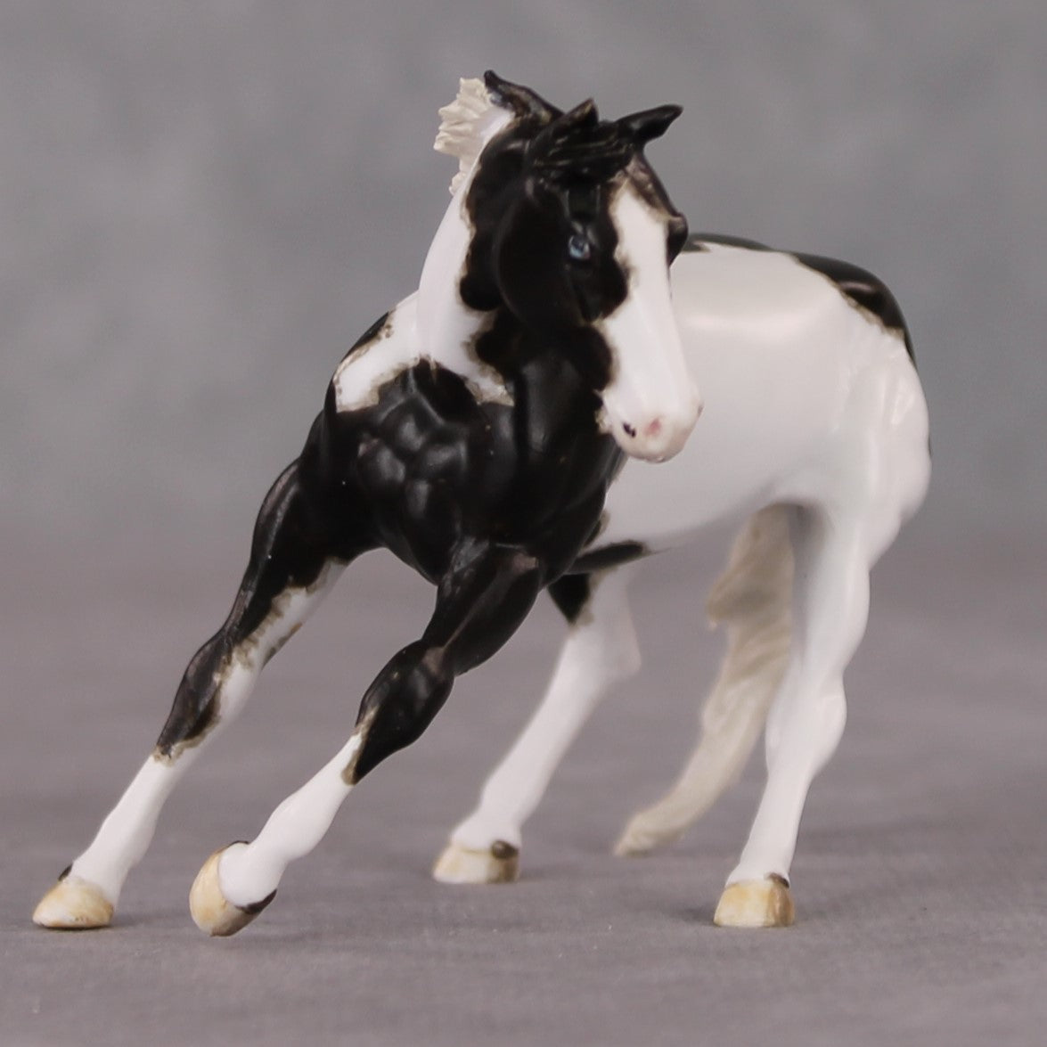 Larmie OOAK Custom Black Pinto Cutter Chip By Andrea Thomason HS24