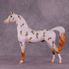Nuts About Autumn OOAK Arabian Stallion by Dawn Quick DDOOAKs25