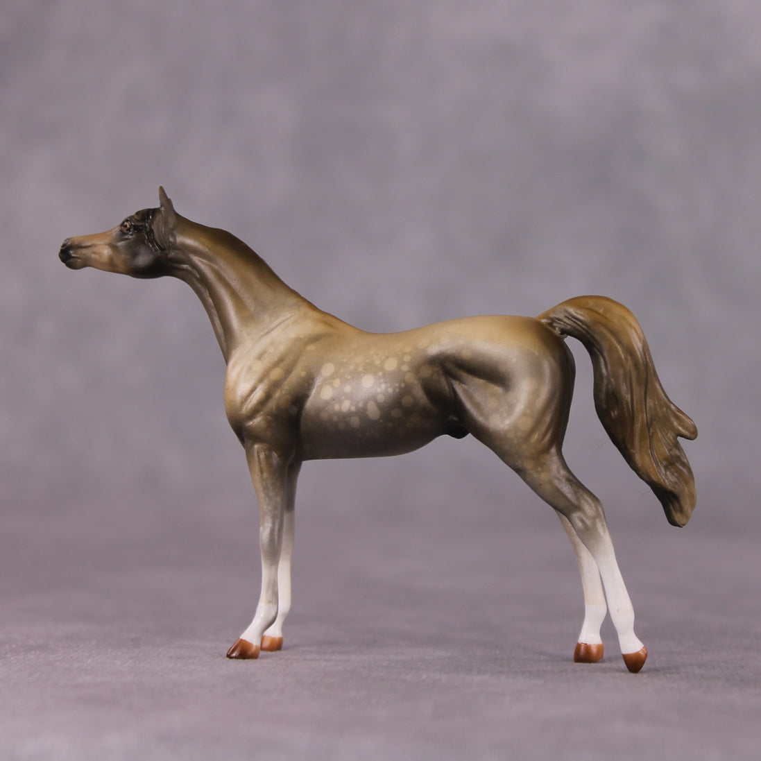 "Far and Away" OOAK Arabian Chip By Kike Duarte SHCF25OS