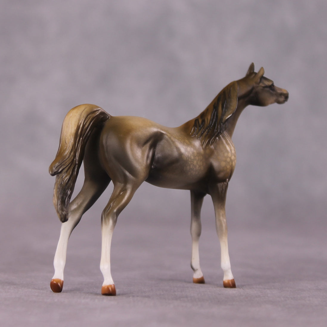 "Far and Away" OOAK Arabian Chip By Kike Duarte SHCF25OS