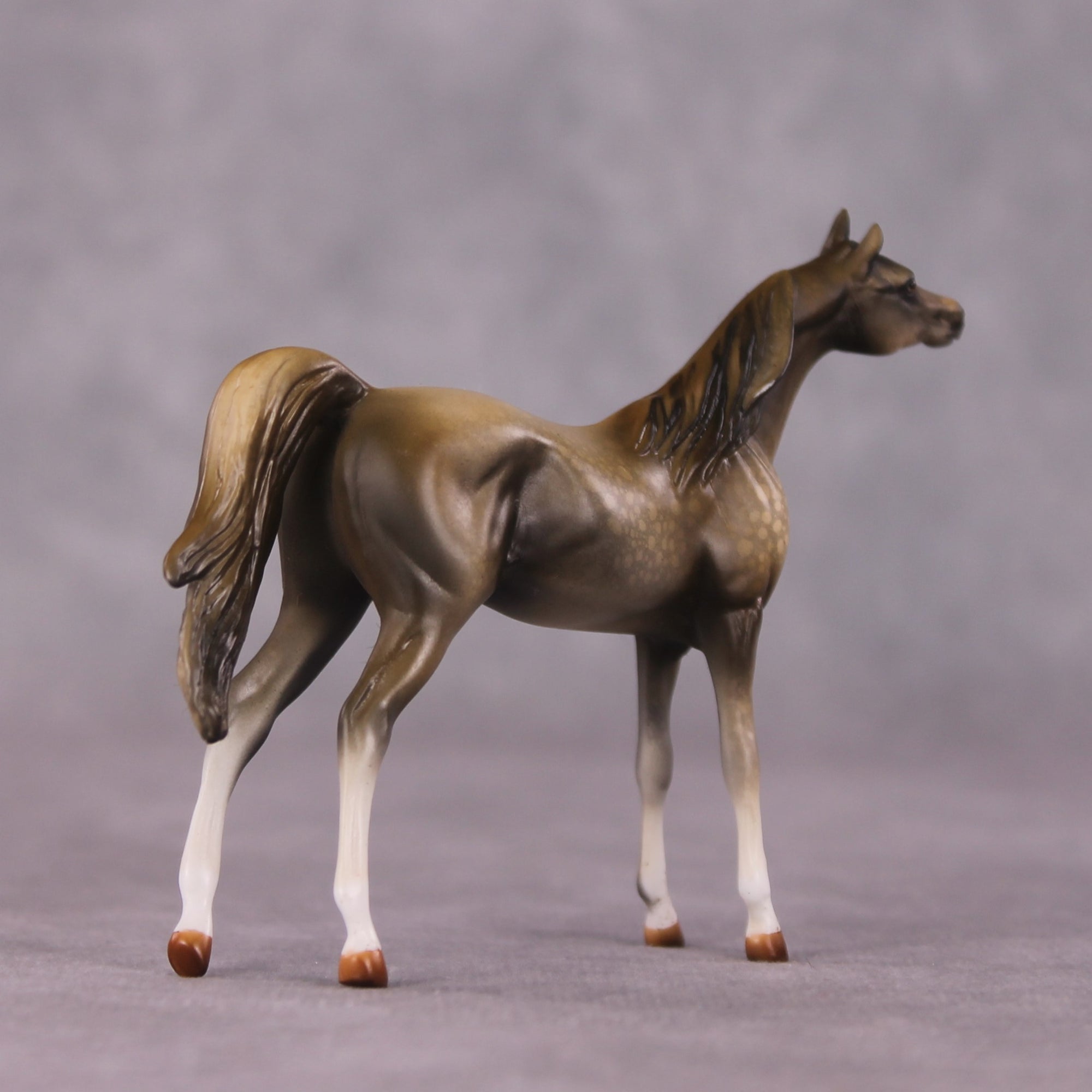 "Far and Away" OOAK Arabian Chip By Kike Duarte SHCF25OS