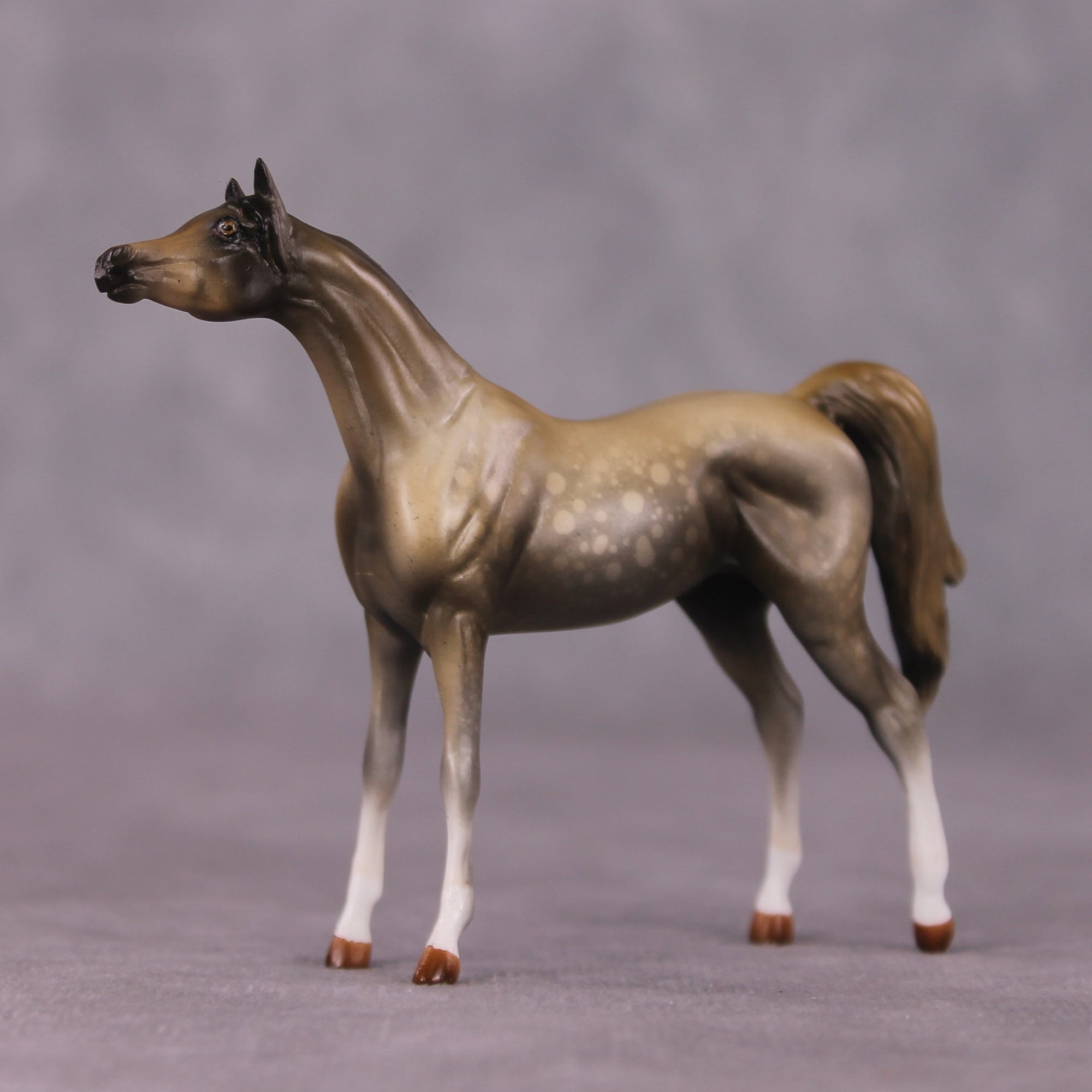 "Far and Away" OOAK Arabian Chip By Kike Duarte SHCF25OS
