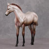 Dorothy OOAK Roan Custom Weanling By Dawn Quick HS24