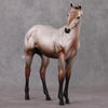 Dorothy OOAK Roan Custom Weanling By Dawn Quick HS24