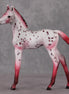 Peppermint Sweet OOAK Red Appy Deco Arab Foal By Dawn Quick HS24