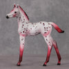 Peppermint Sweet OOAK Red Appy Deco Arab Foal By Dawn Quick HS24