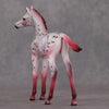 Peppermint Sweet OOAK Red Appy Deco Arab Foal By Dawn Quick HS24