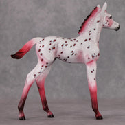 Peppermint Sweet OOAK Red Appy Deco Arab Foal By Dawn Quick HS24