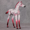 Peppermint Sweet OOAK Red Appy Deco Arab Foal By Dawn Quick HS24