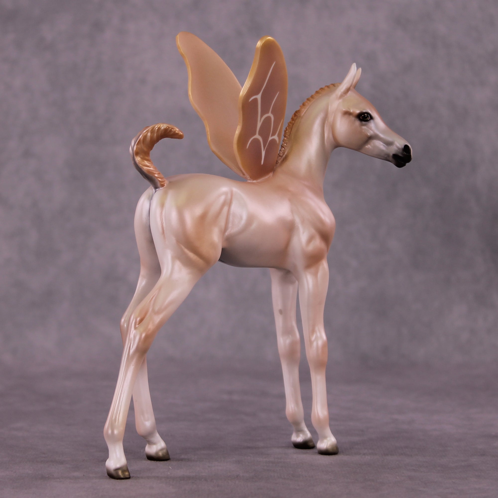 Rosalie OOAK FCM Arabian Foal by Carrie Keller Best Offer 07/22/25