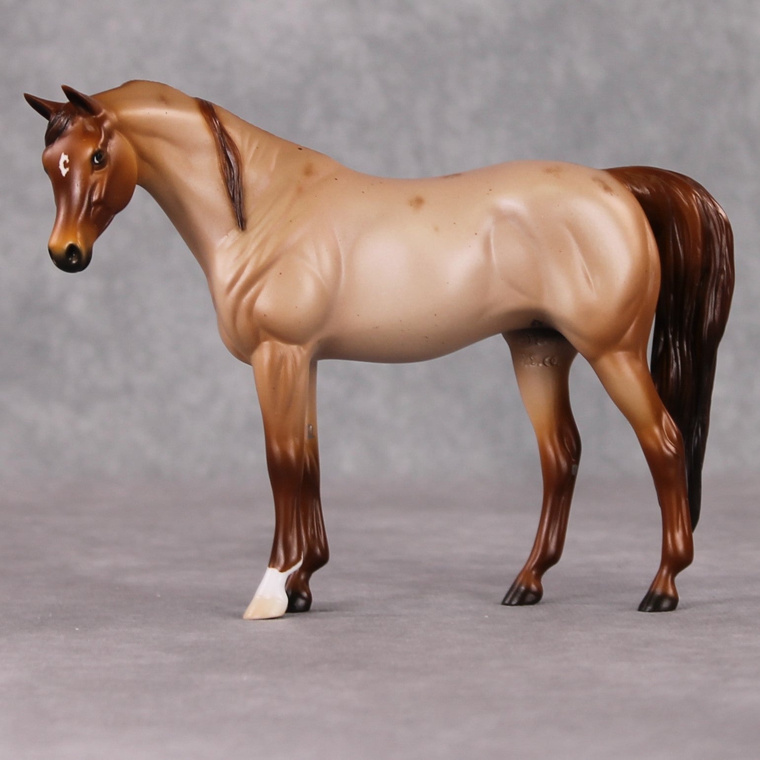 Glockchen OOAK Red Roan Pebble Arabian By Ellen Robbins HS24