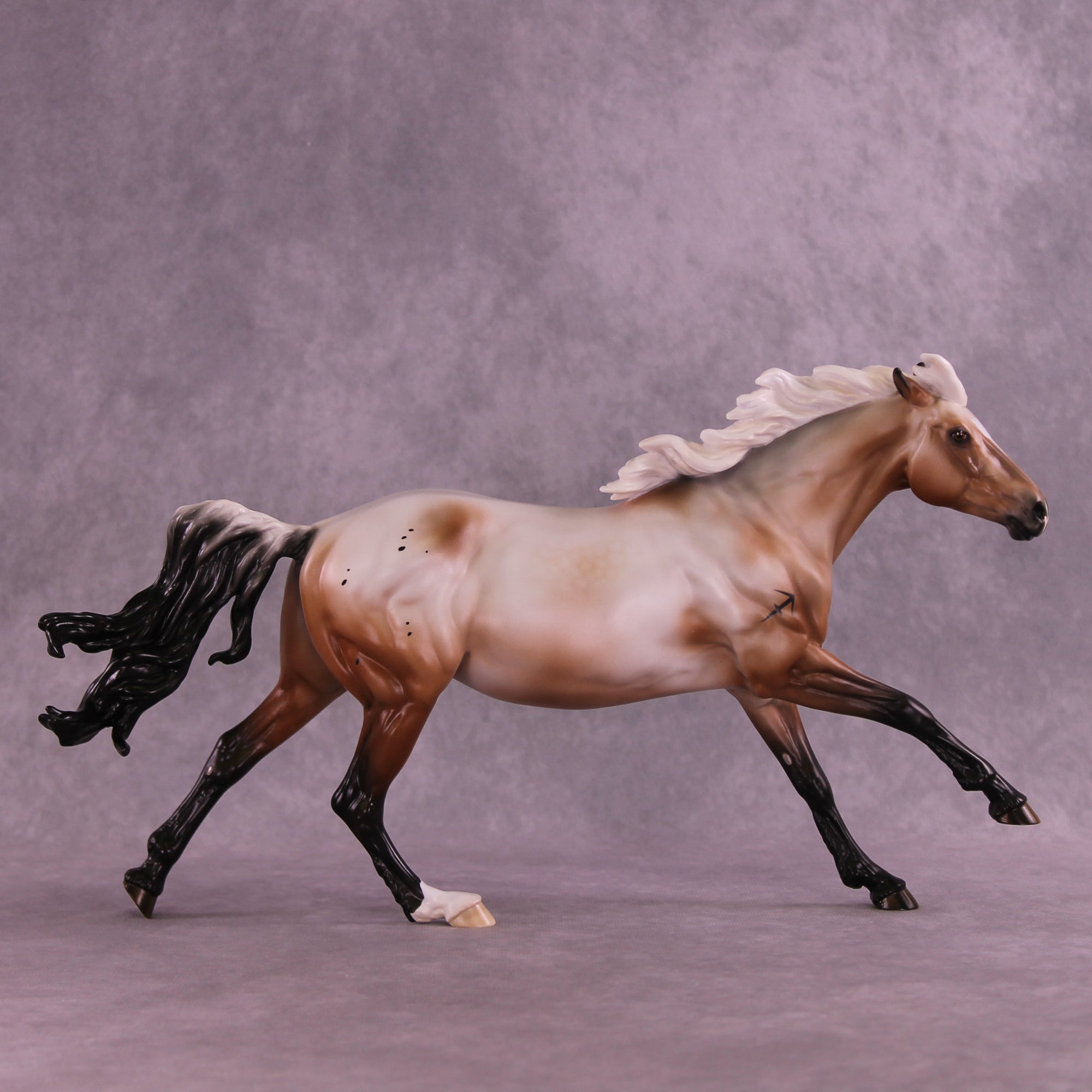 Ascella LE-10 FCM Volo by Ashley Palmer ZS25