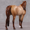 Glockchen OOAK Red Roan Pebble Arabian By Ellen Robbins HS24