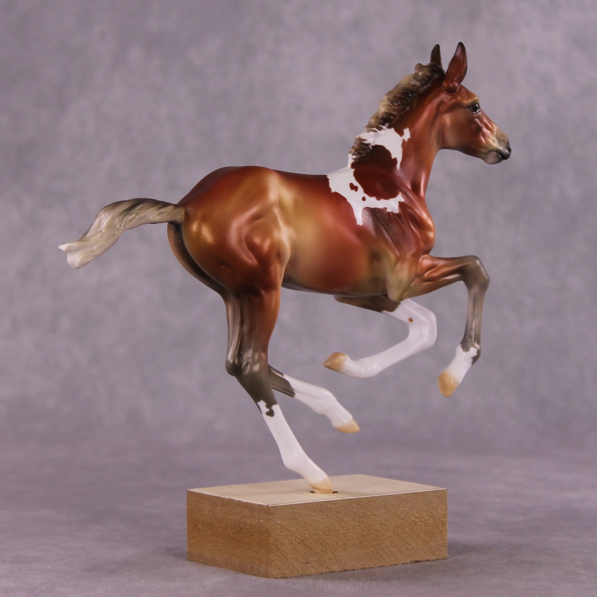 "Roxy" OOAK Pimento Foal Blind Bag by Jess Hamill SHCF25