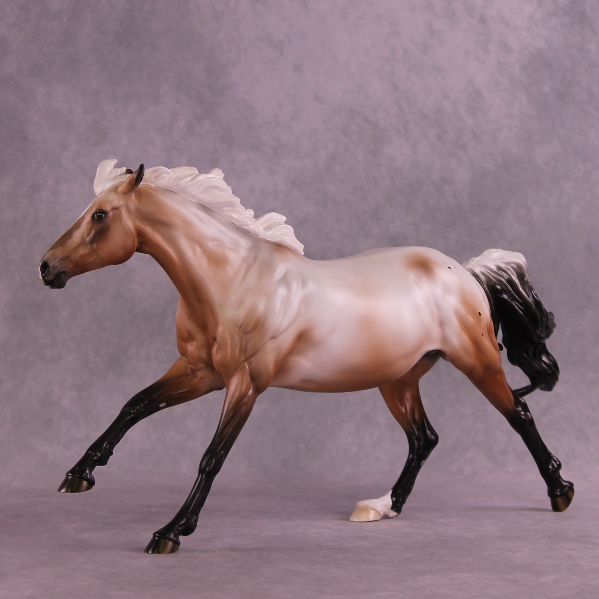 Ascella LE-10 FCM Volo by Ashley Palmer ZS25