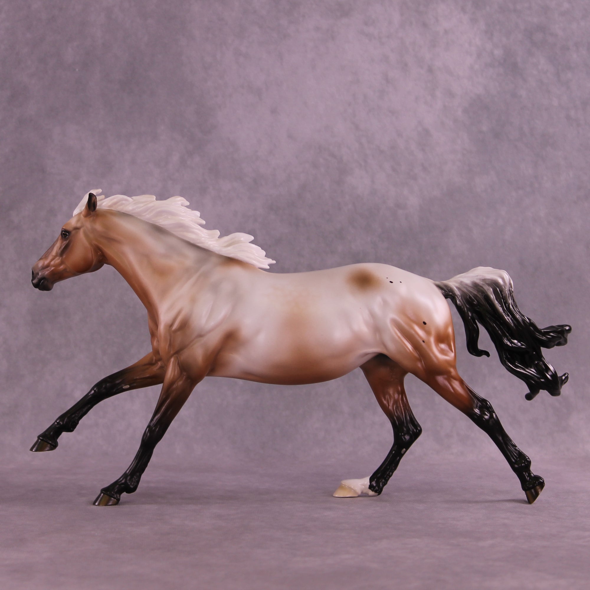 Ascella LE-10 FCM Volo by Ashley Palmer ZS25