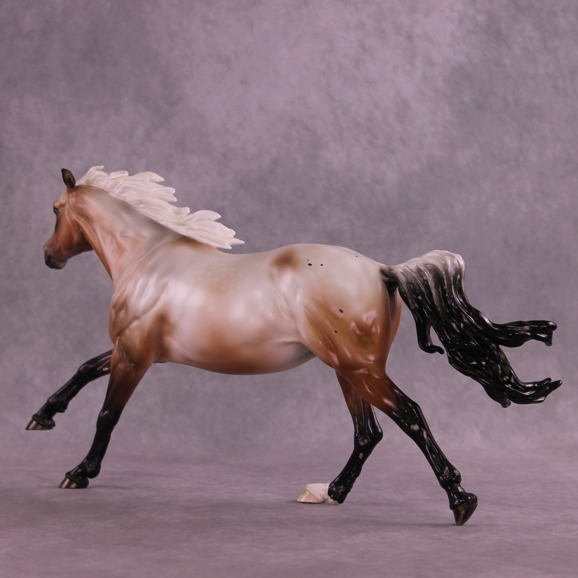 Ascella LE-10 FCM Volo by Ashley Palmer ZS25