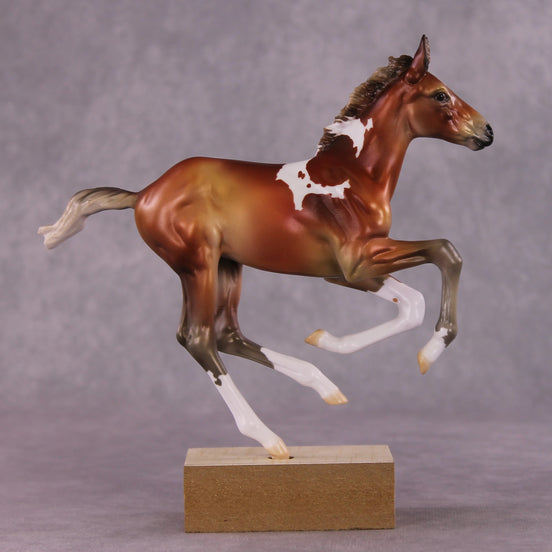 "Roxy" OOAK Pimento Foal Blind Bag by Jess Hamill SHCF25