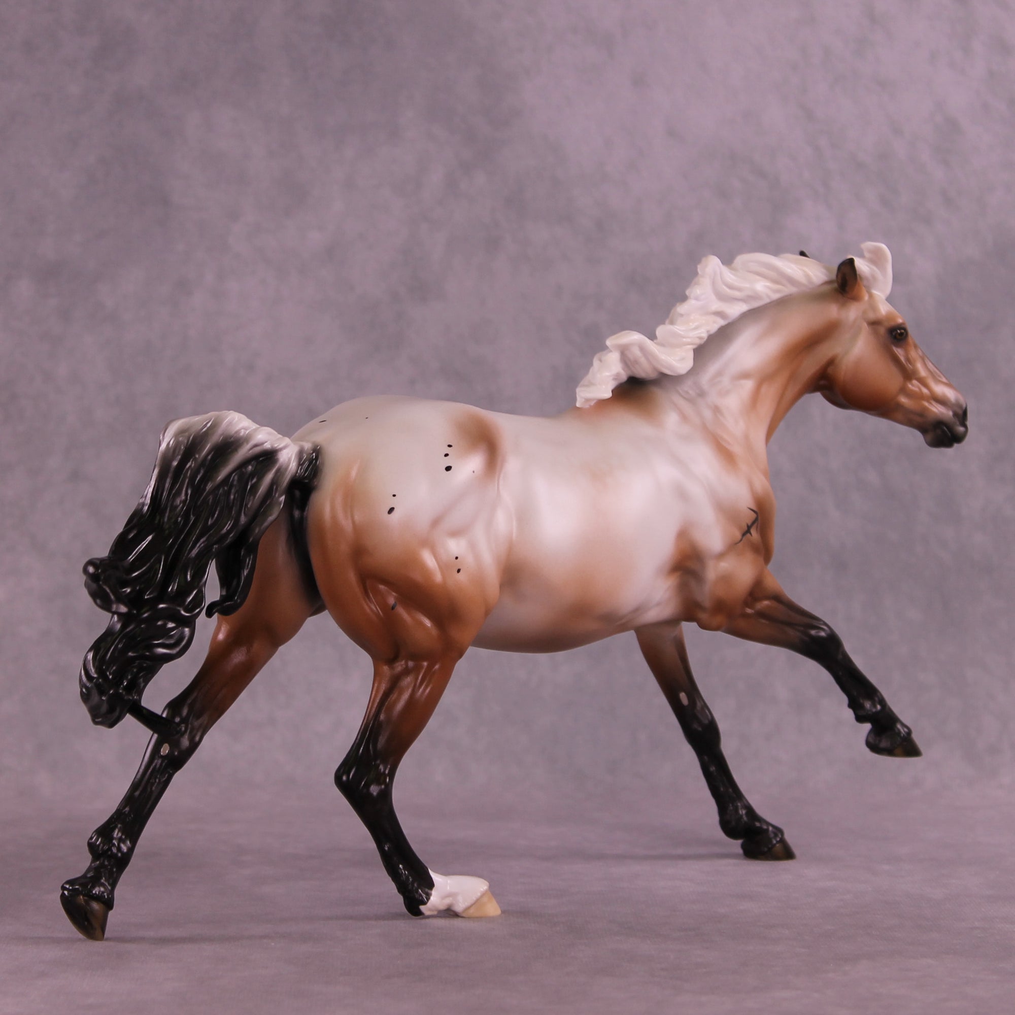 Ascella LE-10 FCM Volo by Ashley Palmer ZS25