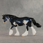 London LE-20 FCM Irish Cob by Julie Keim TS26