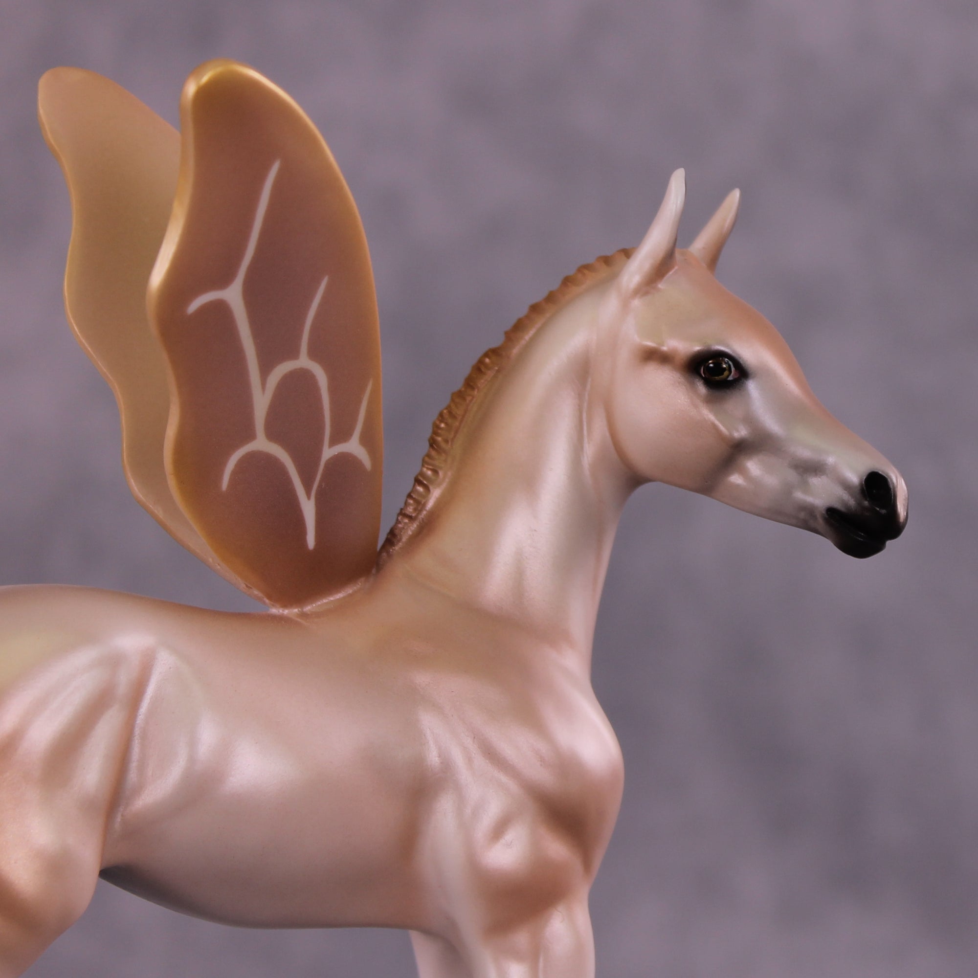 Rosalie OOAK FCM Arabian Foal by Carrie Keller Best Offer 07/22/25