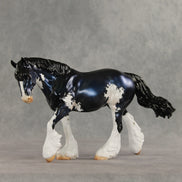 London LE-20 FCM Irish Cob by Julie Keim TS26