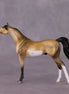 "Pilcrow" OOAK Arabian Chip by Dawn Quick SHCF25OS
