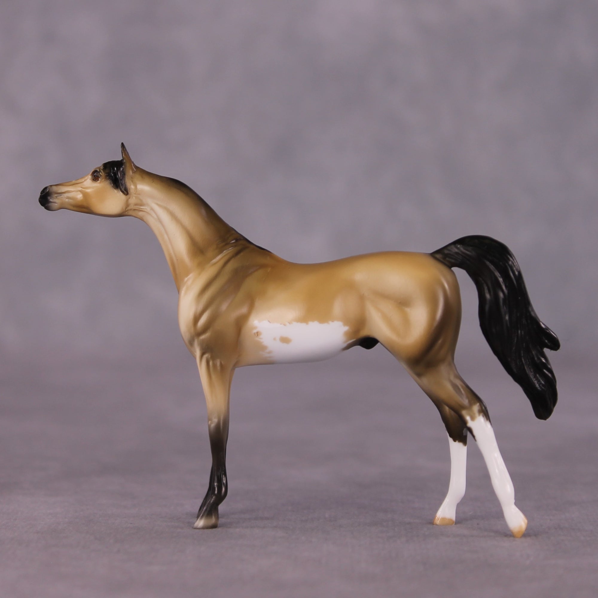 "Pilcrow" OOAK Arabian Chip by Dawn Quick SHCF25OS