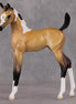Marquette OOAK Custom Buckskin Pinto Arab Foal By Jess Hamill HS24