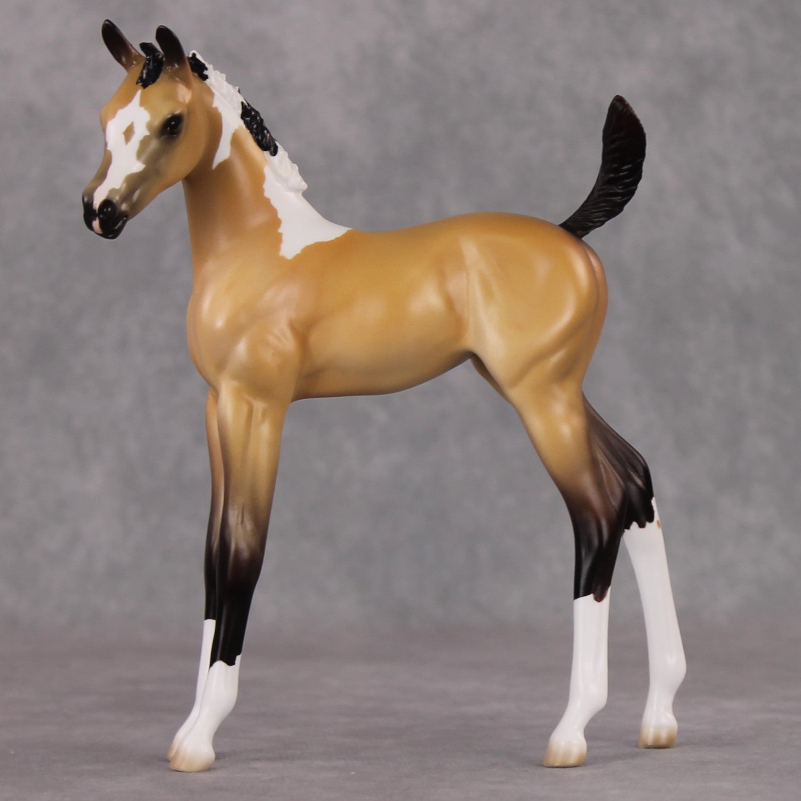 Marquette OOAK Custom Buckskin Pinto Arab Foal By Jess Hamill HS24