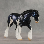 London LE-20 FCM Irish Cob by Julie Keim TS26
